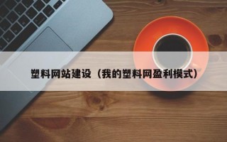 金湖塑料网站建设（我的塑料网盈利模式）
